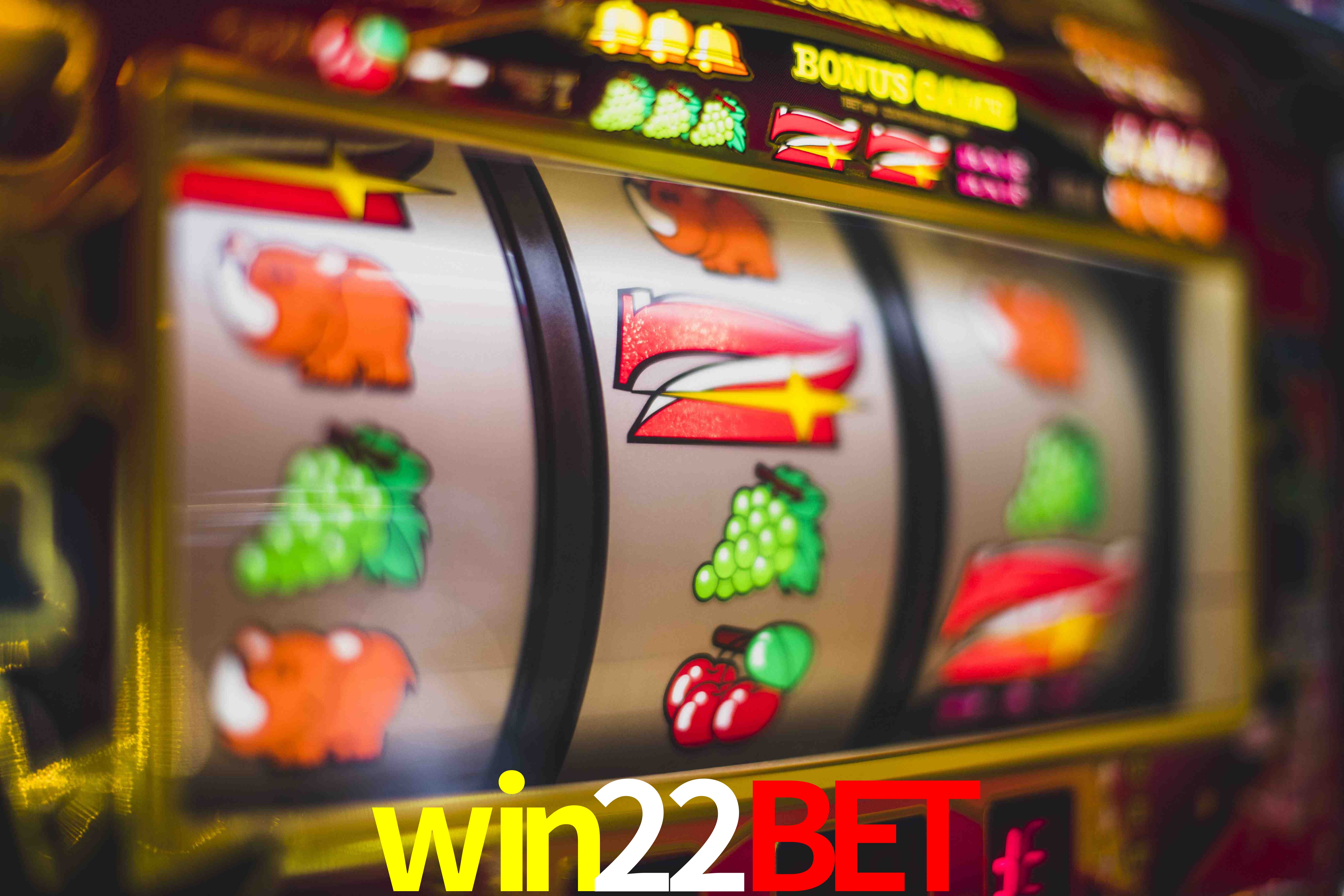 Crash Games Statistics win22bet